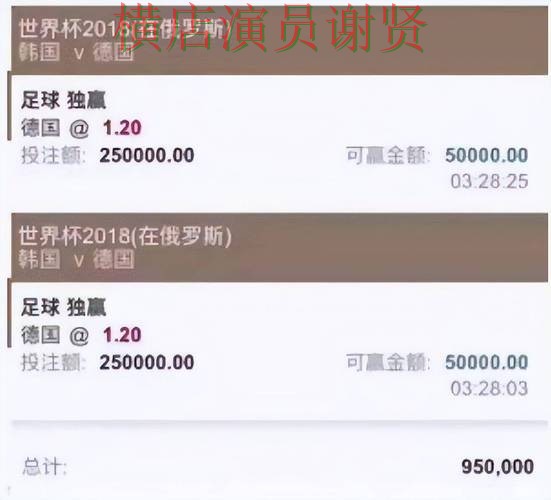 世界杯官方信息期间热门世界杯买球平台解析与直播入口分析 世界杯官方信息期间热门世界杯买球平台解析与直播入口分析